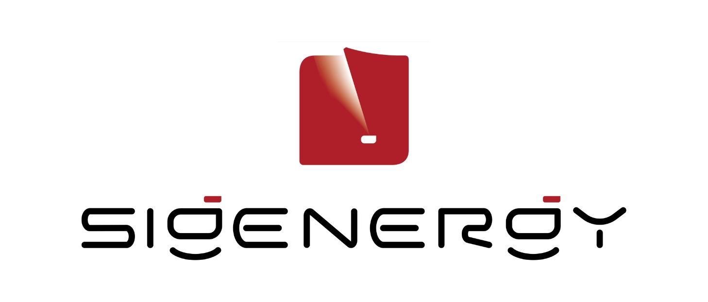 Partner 1
